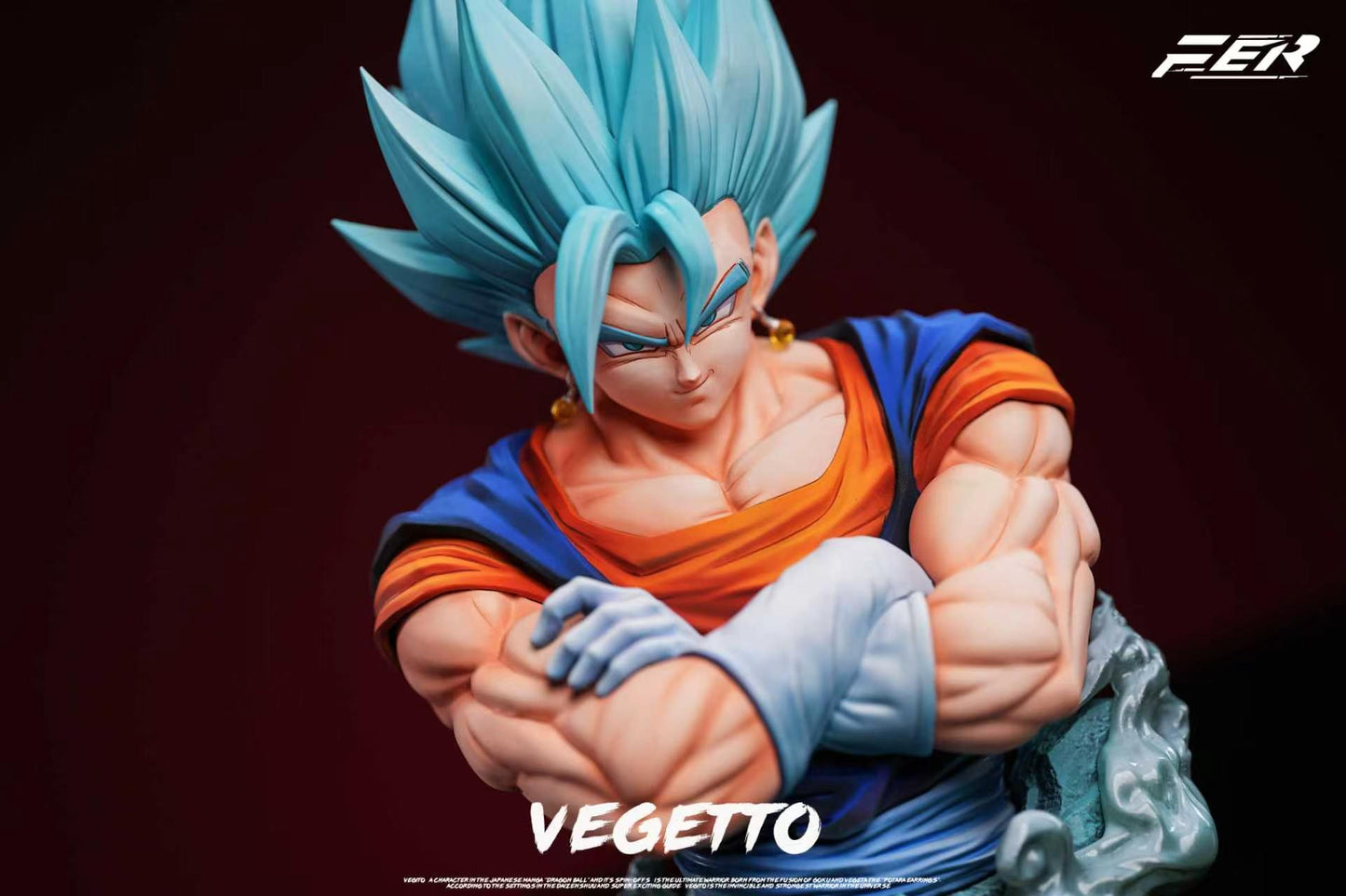 FER - Vegito