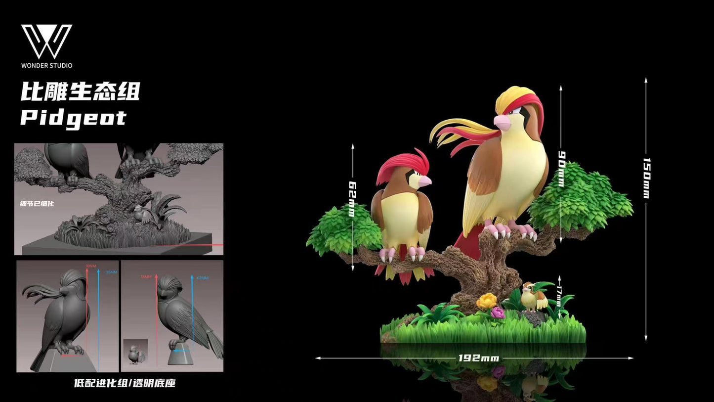 Wonder - Pidgeot