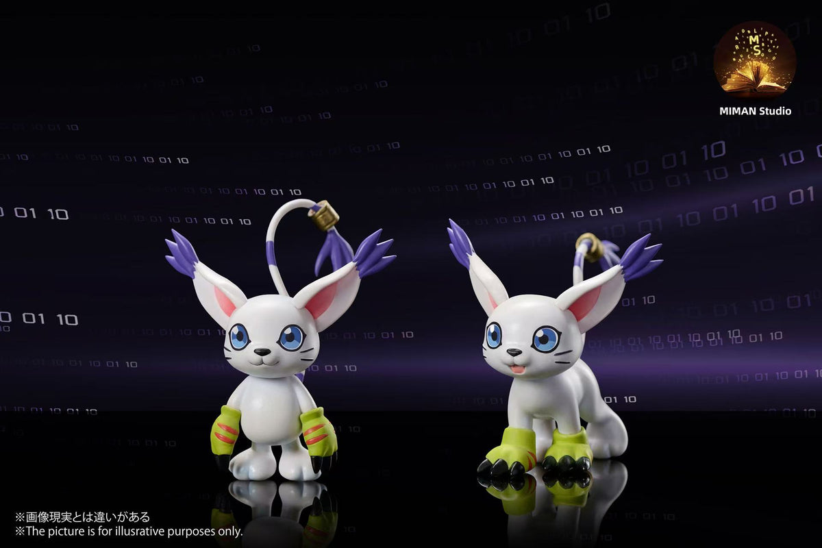 MIMAN - Hikari Yagami, Salamon and Tailmon