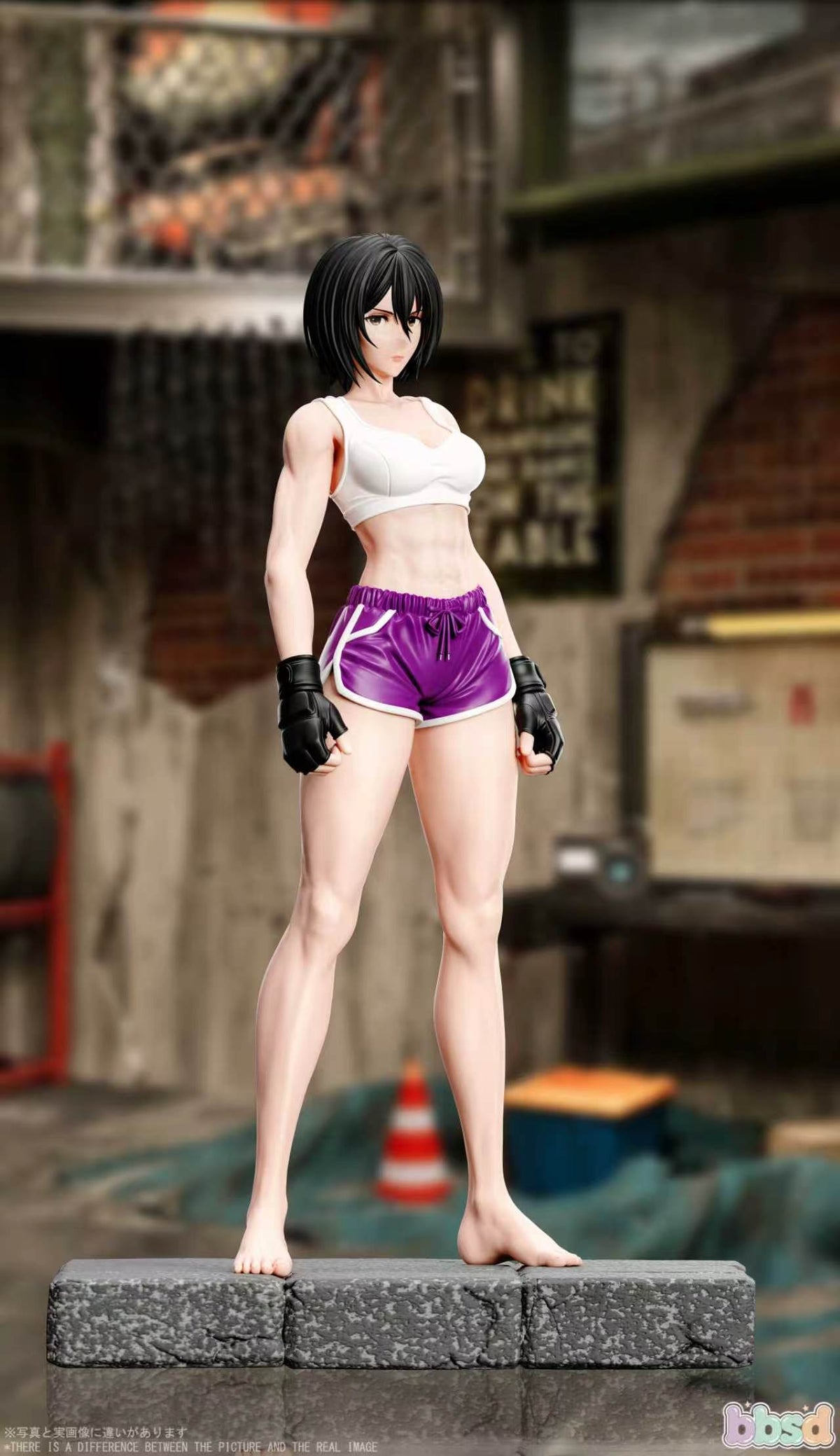 BBSD - Mikasa