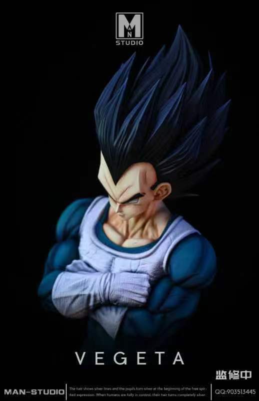 MAN - Vegeta