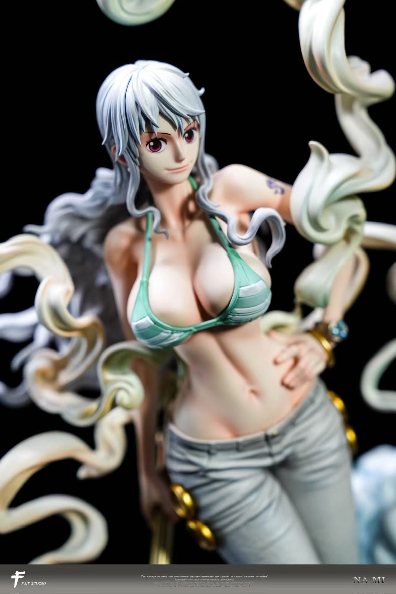 FIT - Nika Nami