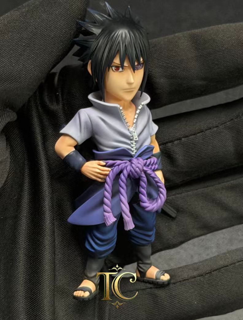 TC - Naruto and Sasuke