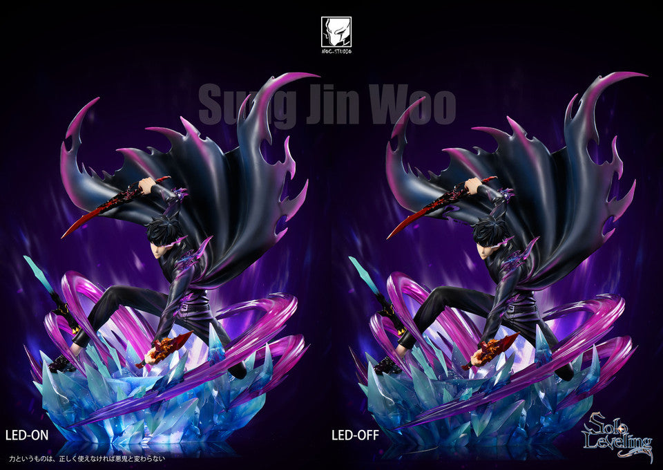 NOC - Sung Jinwoo
