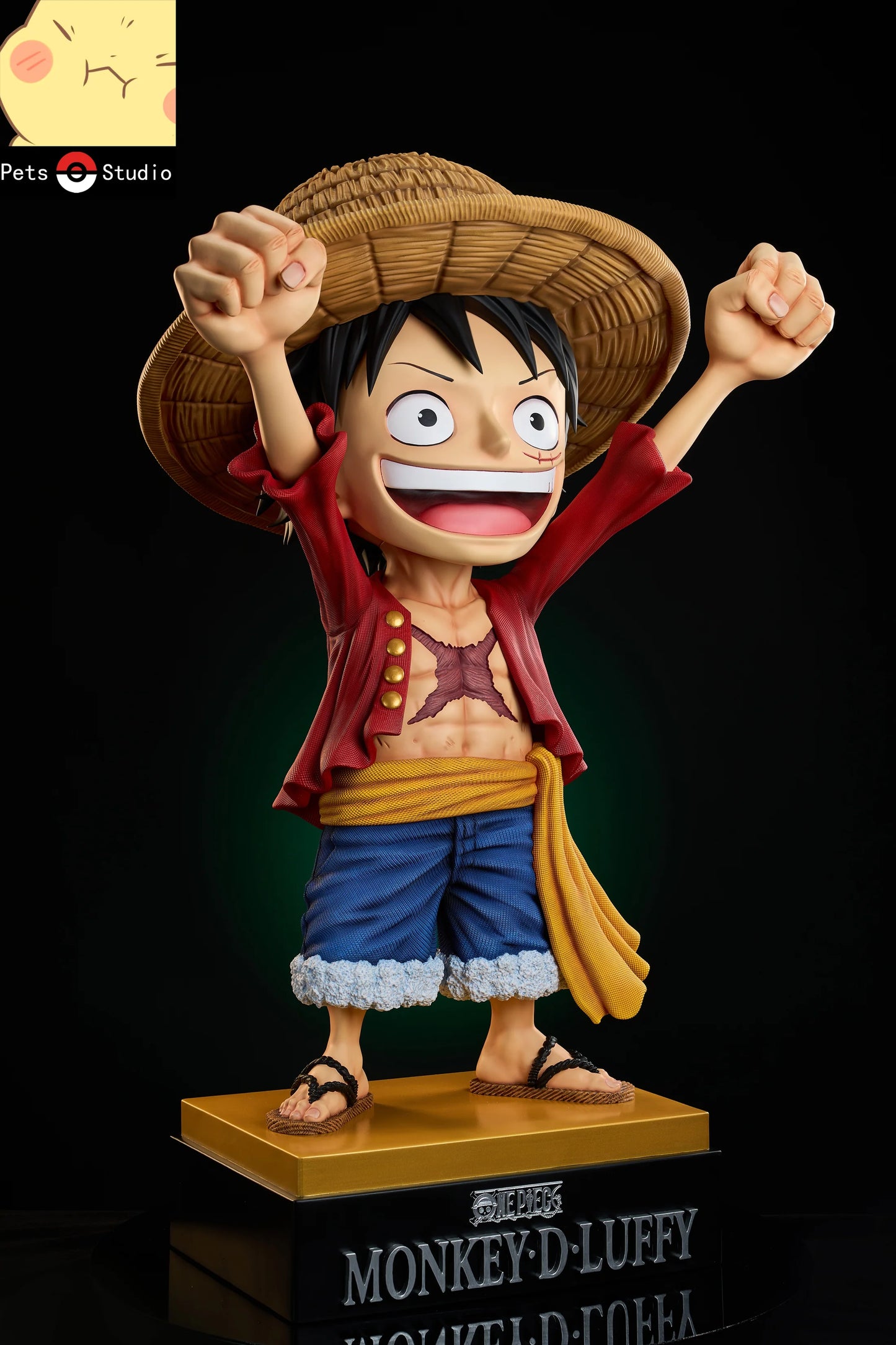 Pets - Luffy