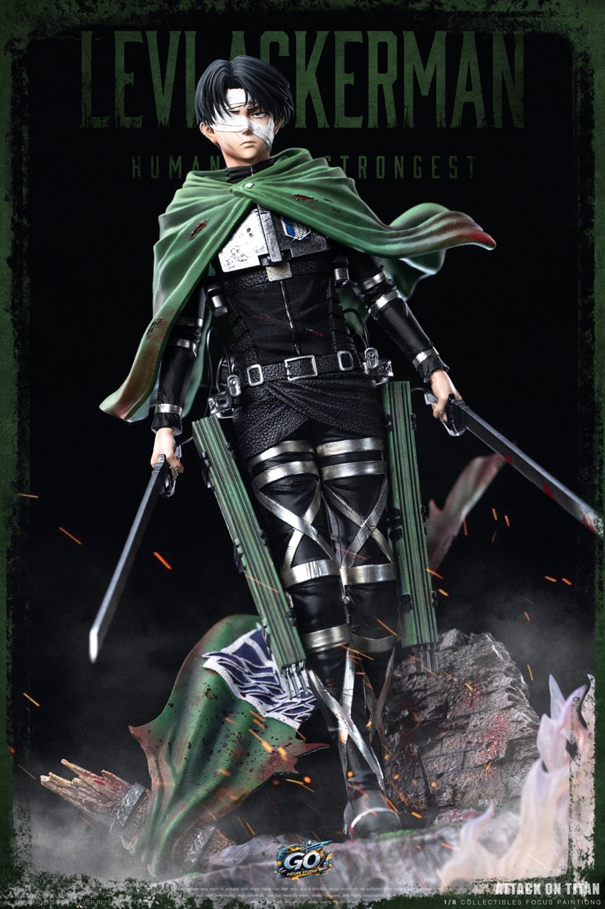 Go Figure - Levi