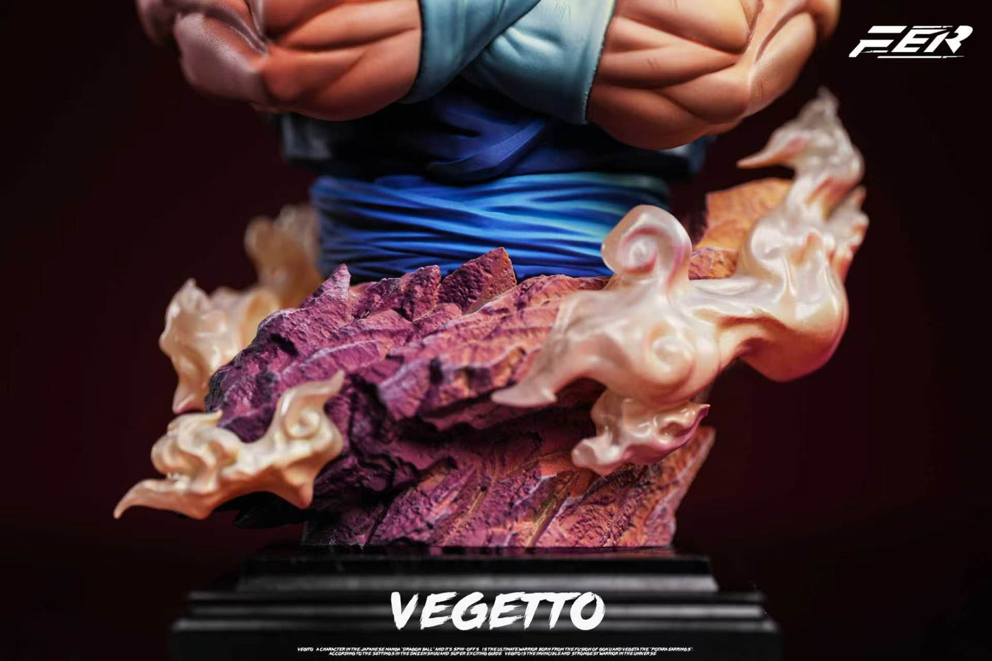 FER - Vegito