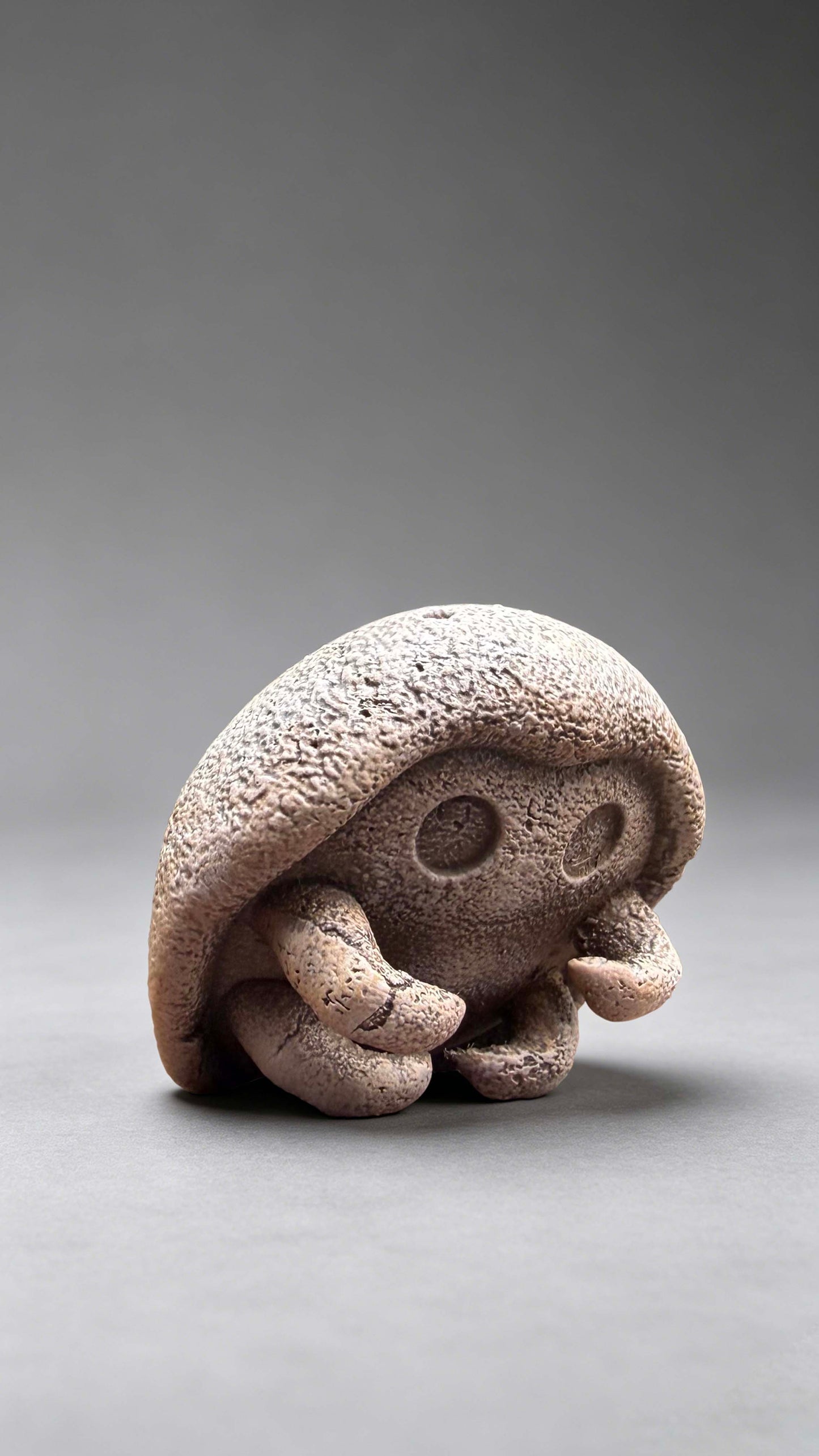 Miumiu - Kabutops and Kabuto Fossils