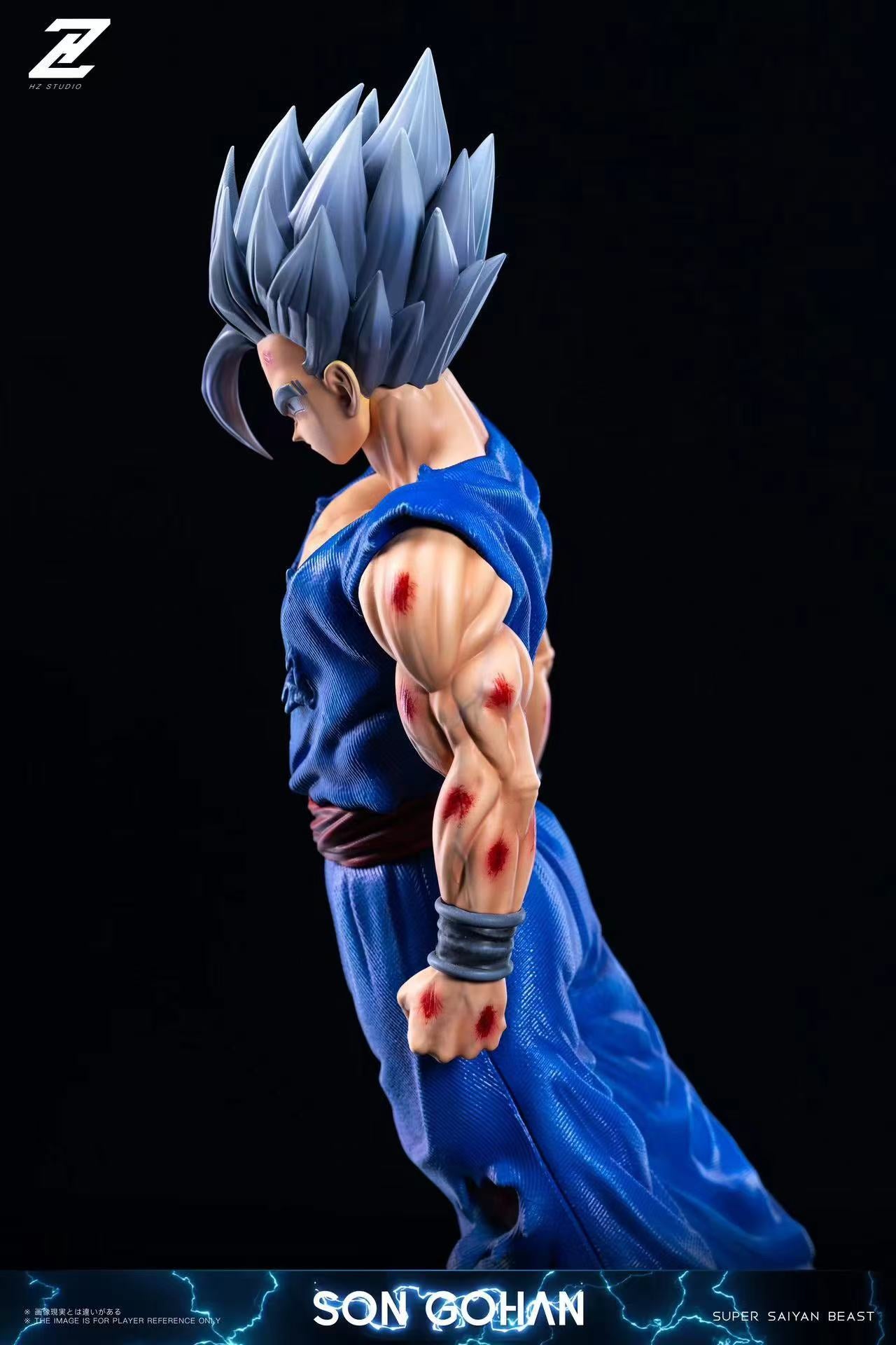 HZ - Gohan Beast