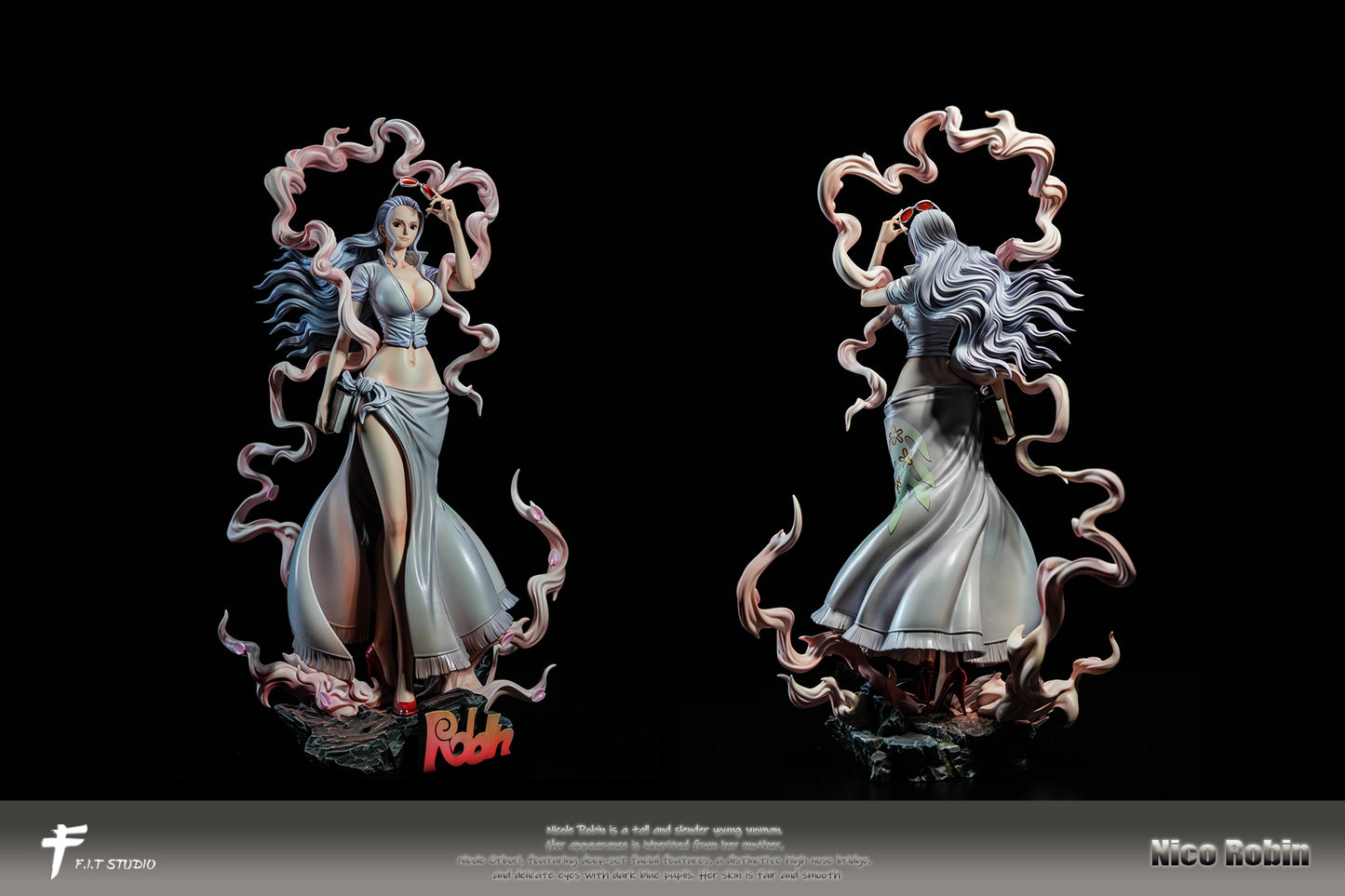 FIT - Nika Nico Robin