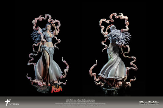 FIT - Nika Nico Robin