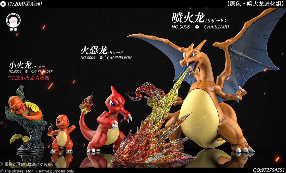 Wang Wang - Charizard