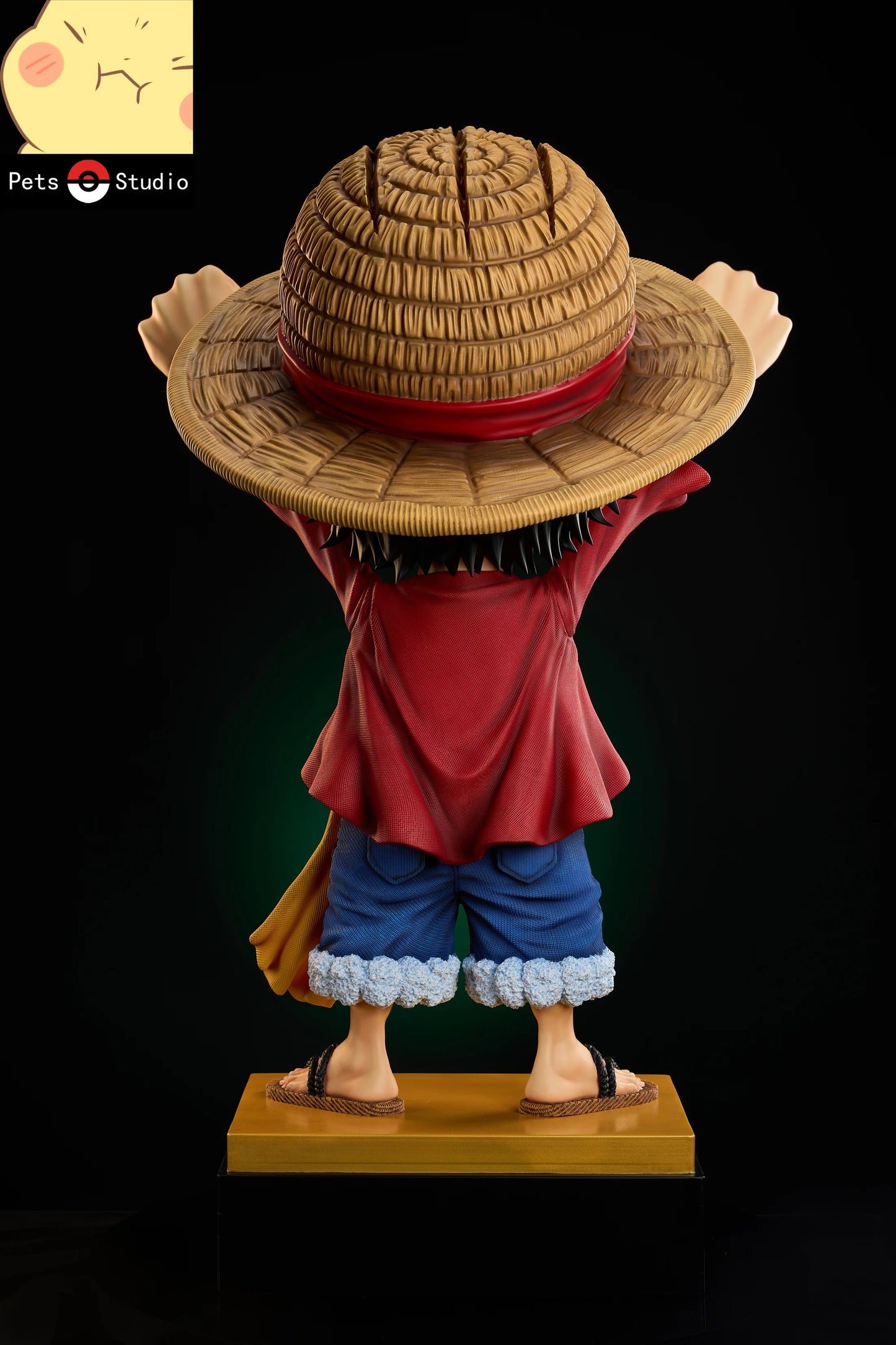 Pets - Luffy