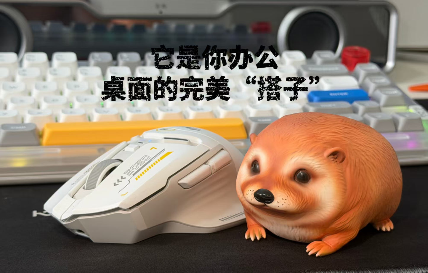 Nan Bei Iv Dou - What the Dog Doing