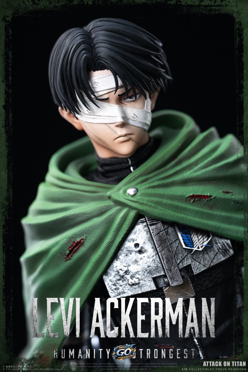 Go Figure - Levi