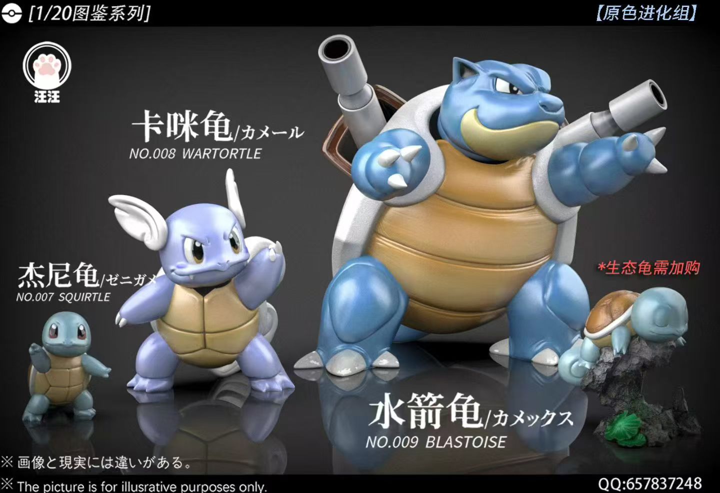Wang Wang - Blastoise