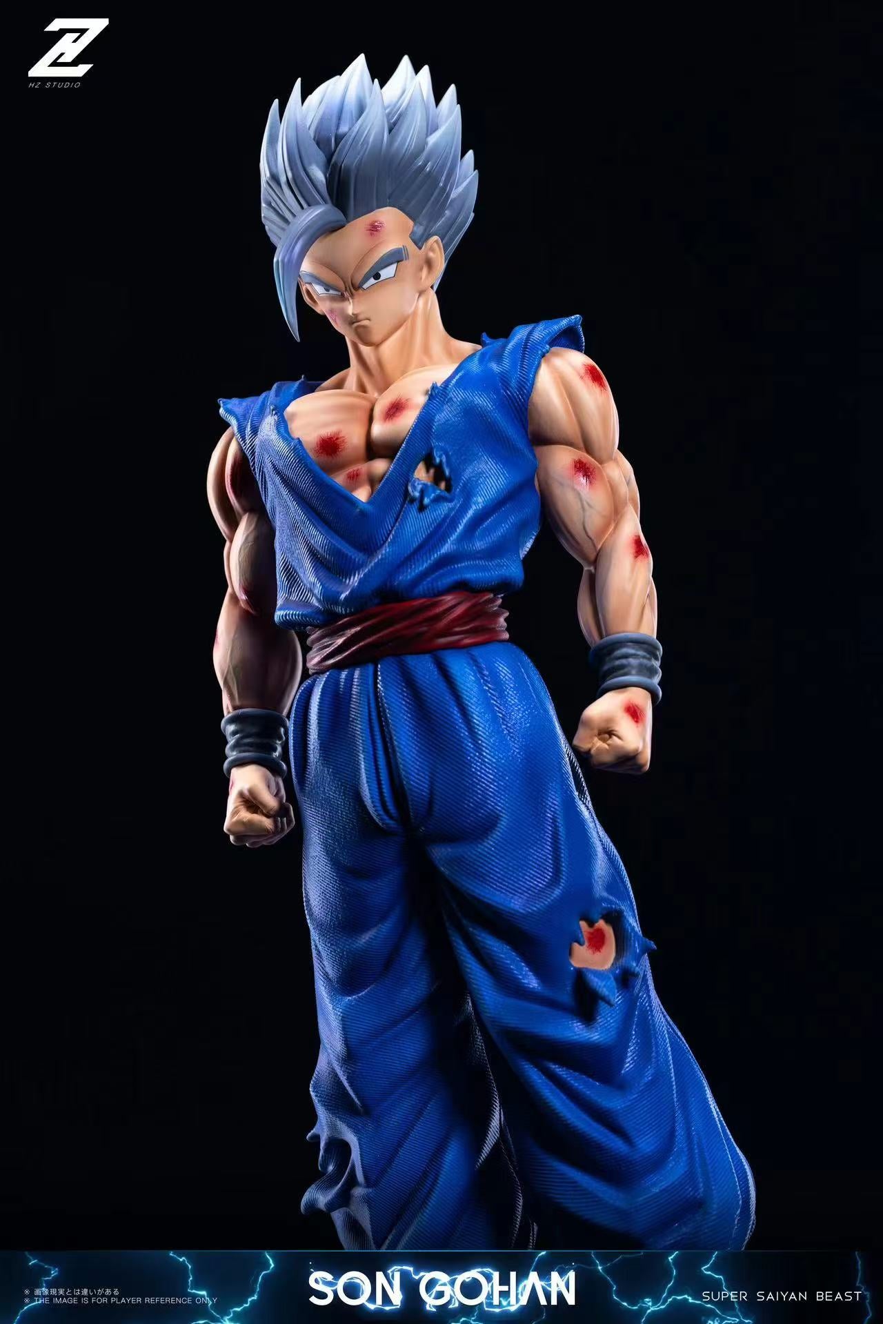 HZ - Gohan Beast