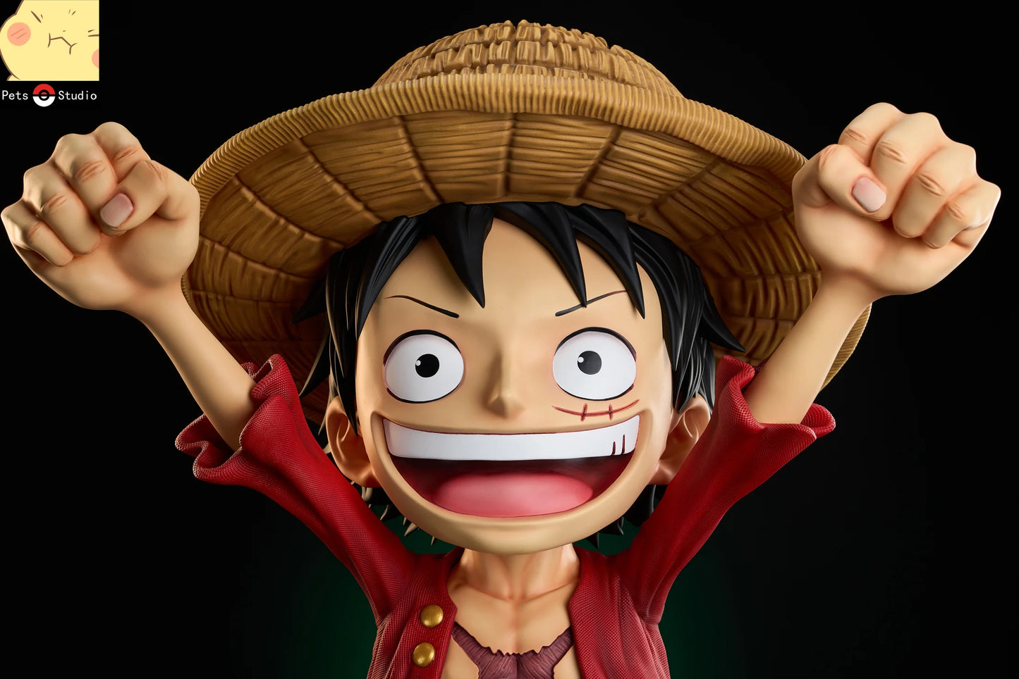 Pets - Luffy