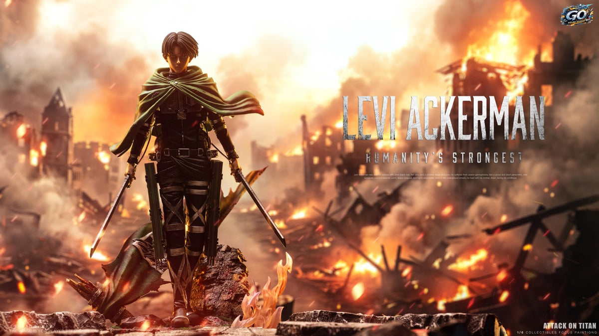 Go Figure - Levi