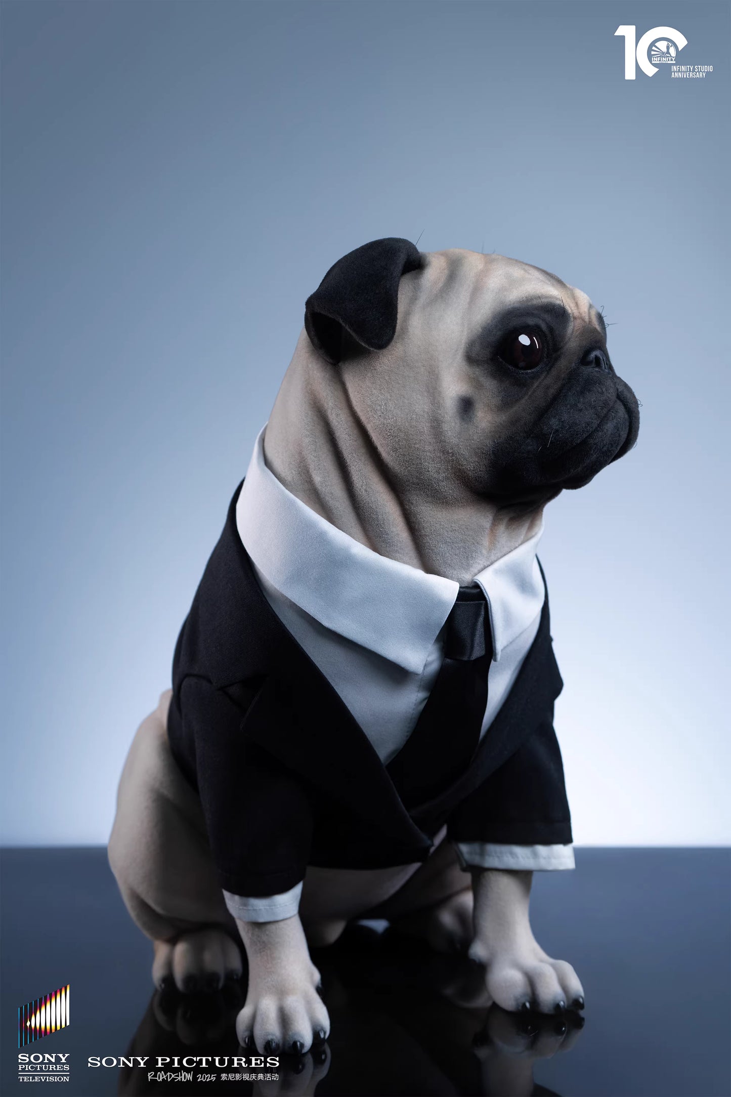 Infinity - Frank the Pug