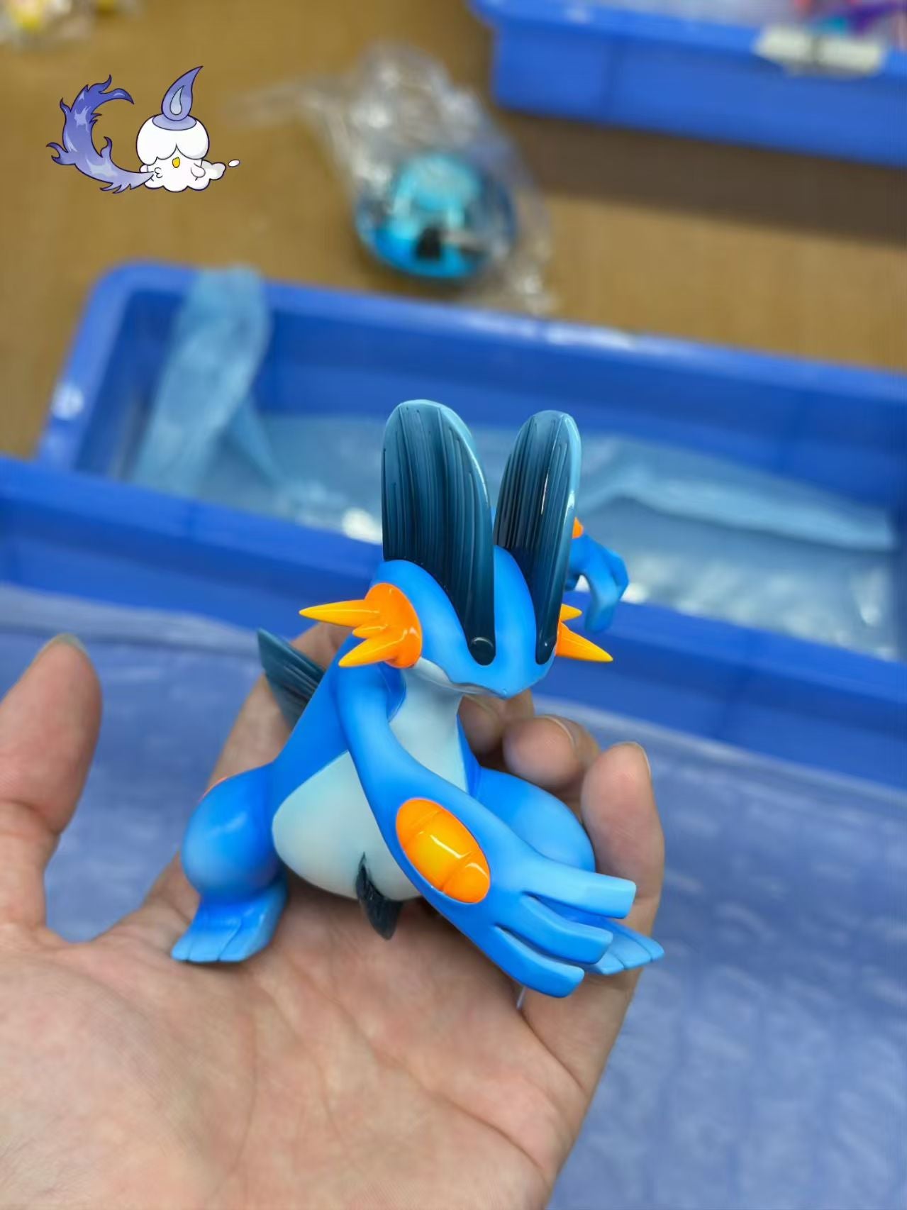Chasing Light - Mudkip, Marshtomp and Swampert