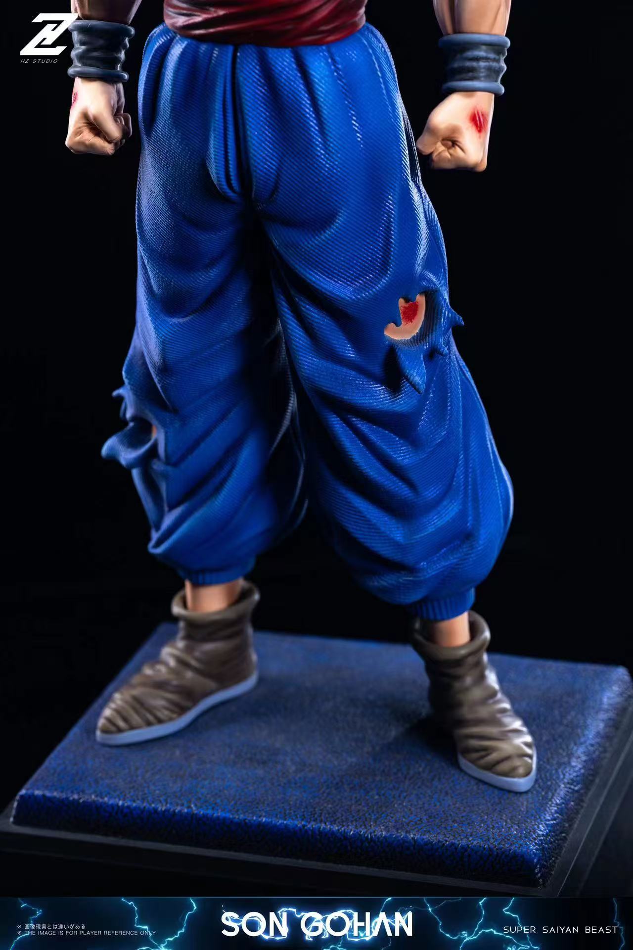 HZ - Gohan Beast