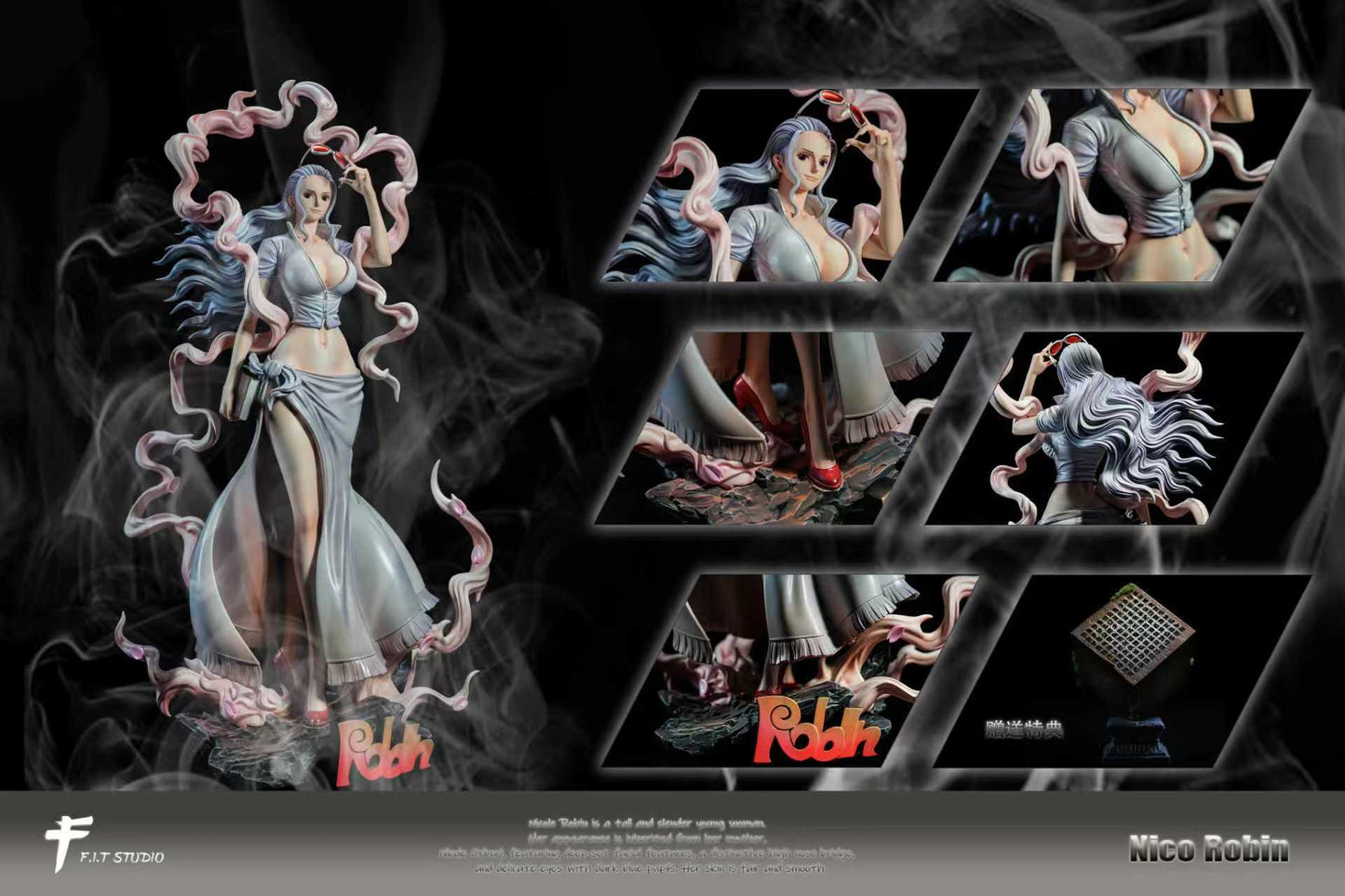 FIT - Nika Nico Robin