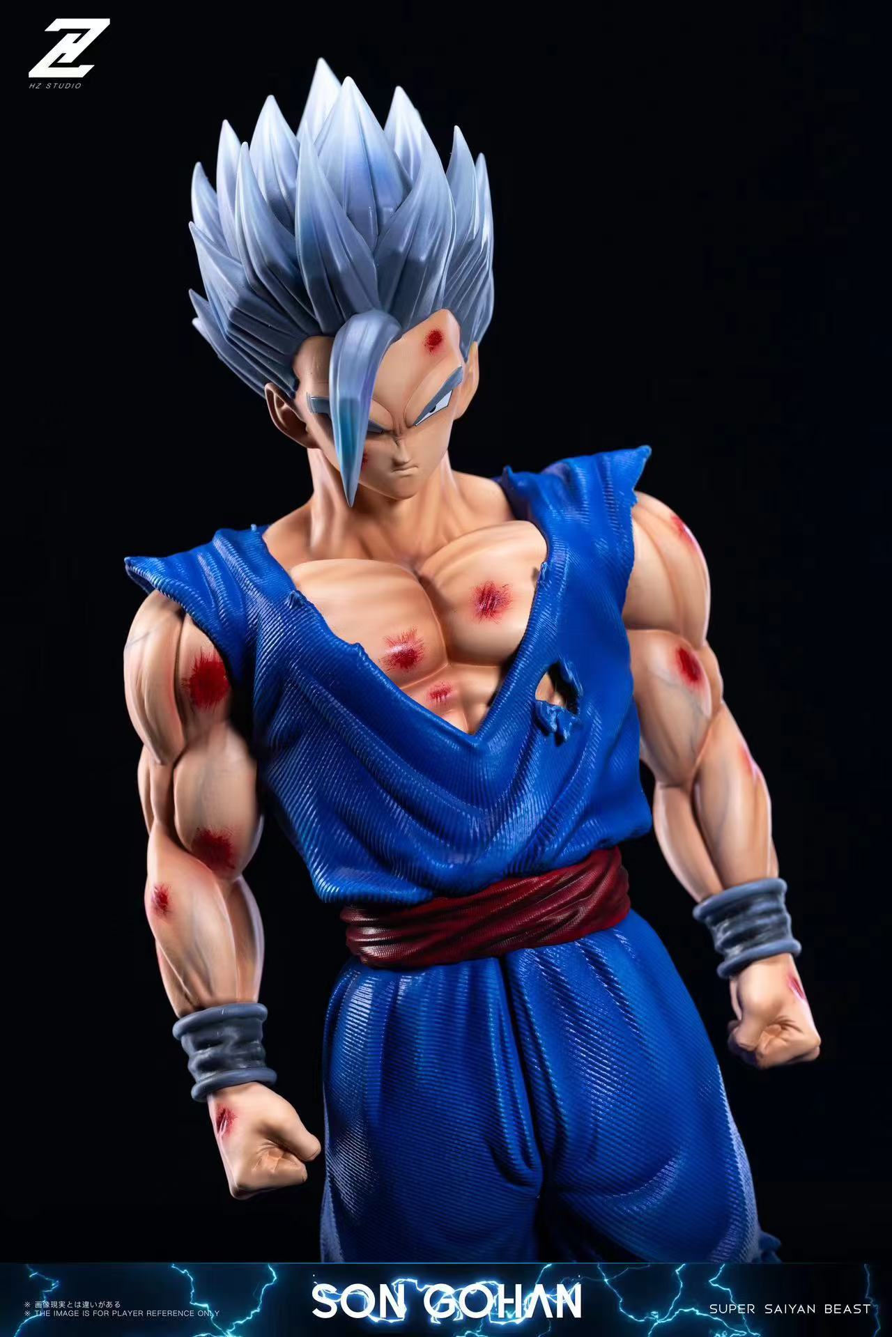 HZ - Gohan Beast