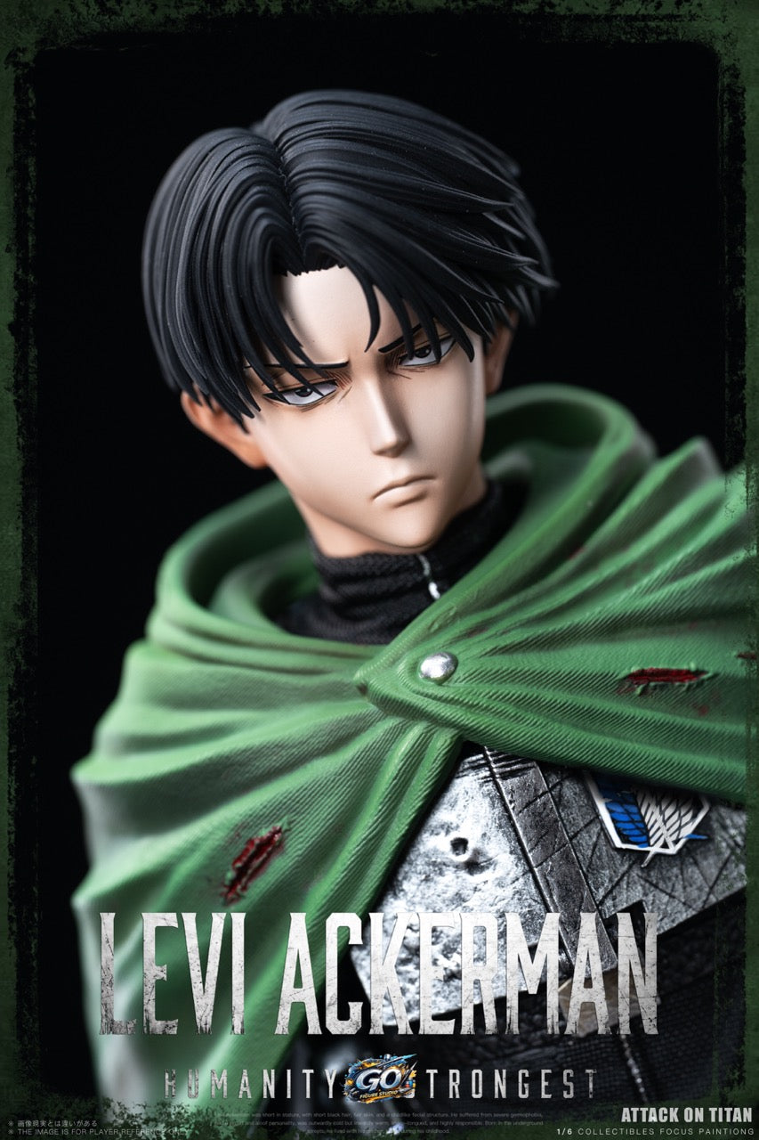 Go Figure - Levi