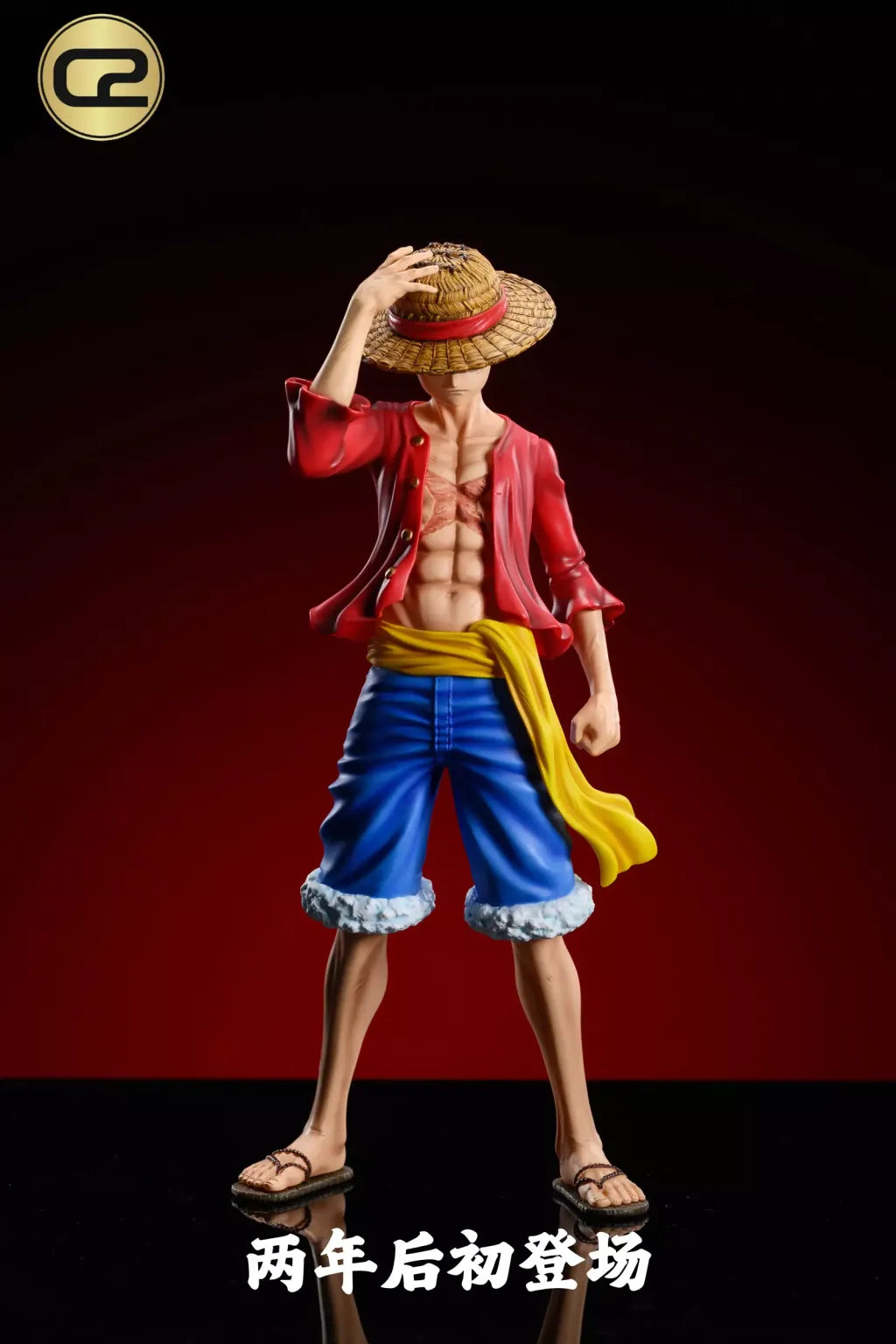 C2 - Luffy