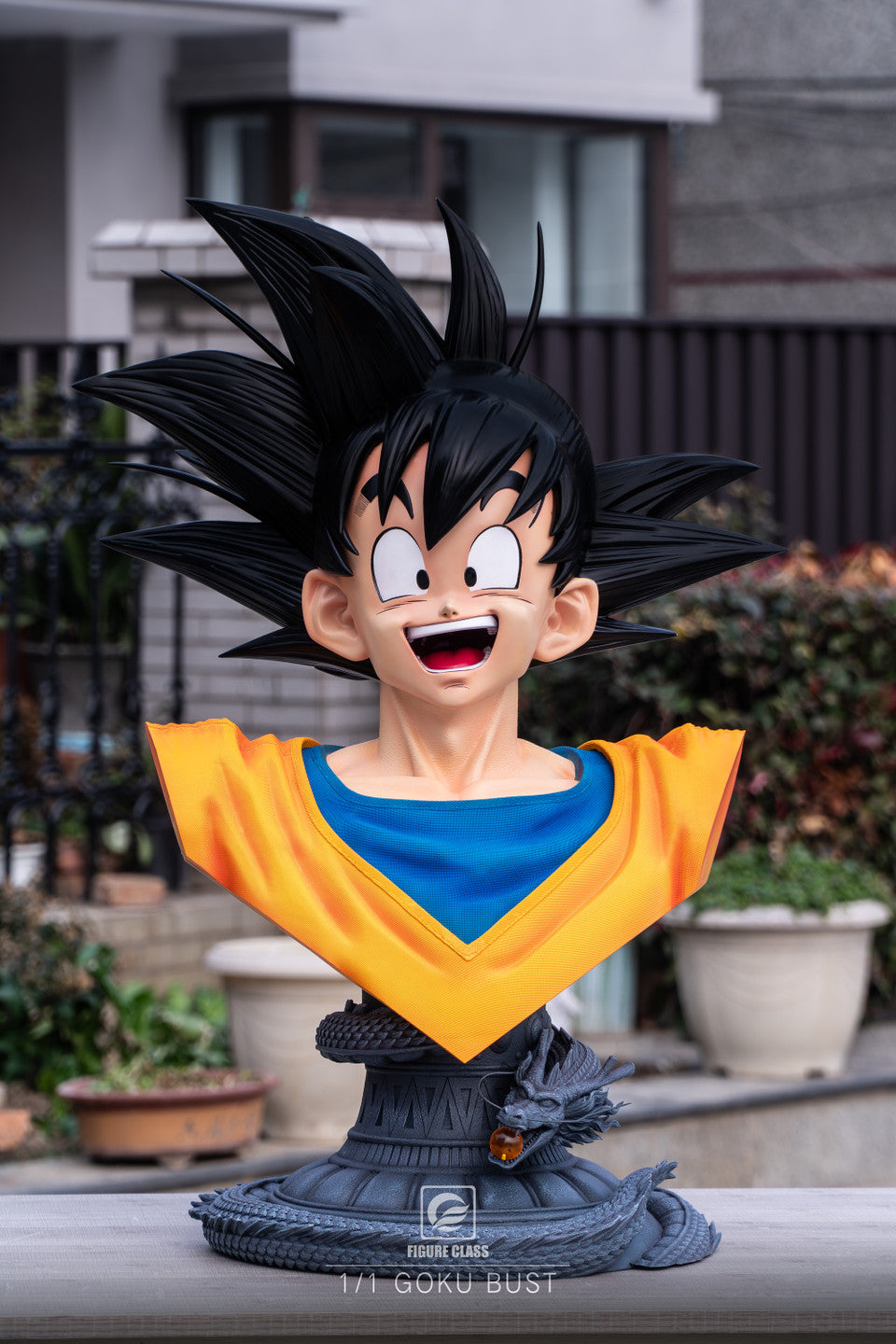 Figure Class - Goku