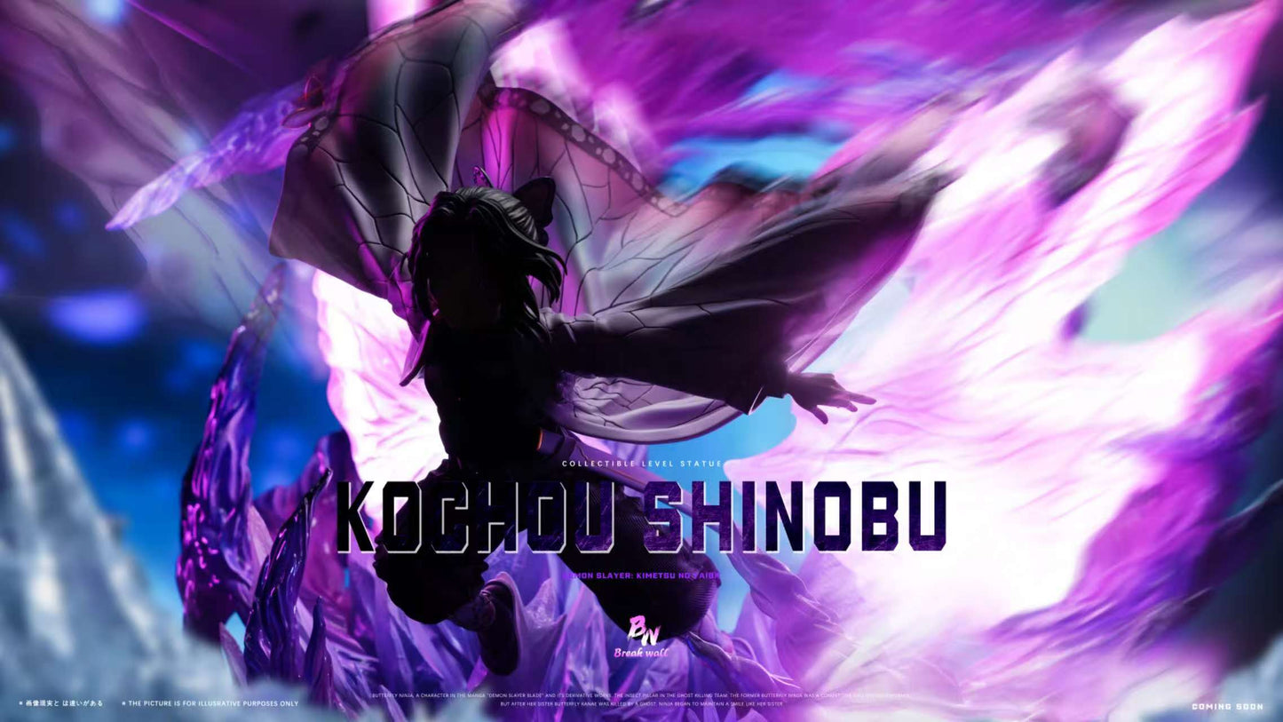 Break Wall - Shinobu