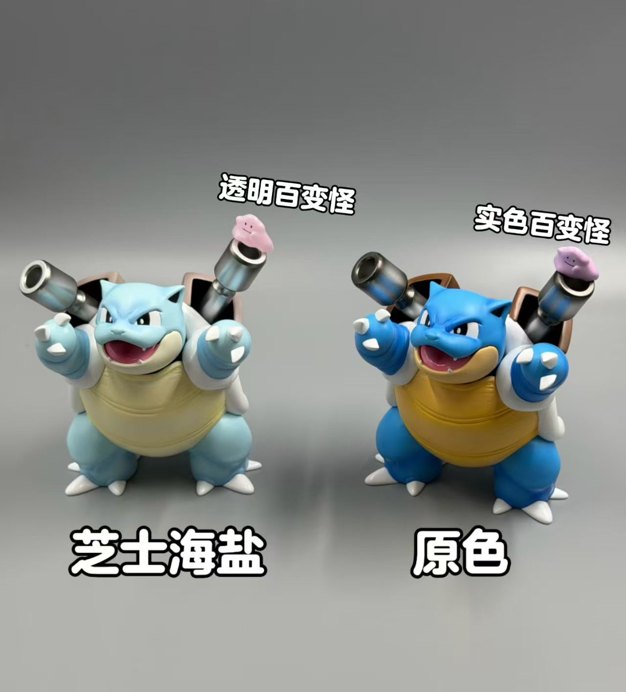 OM - Blastoise and Ditto
