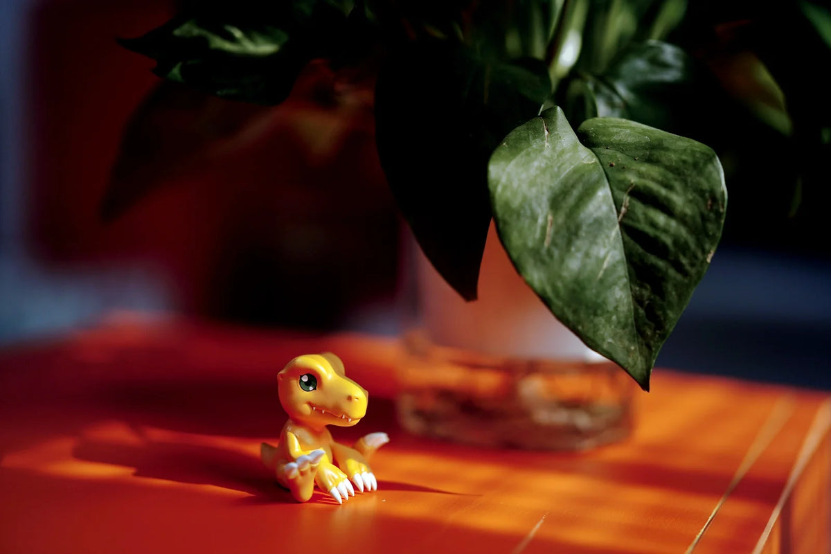 C9 - Agumon