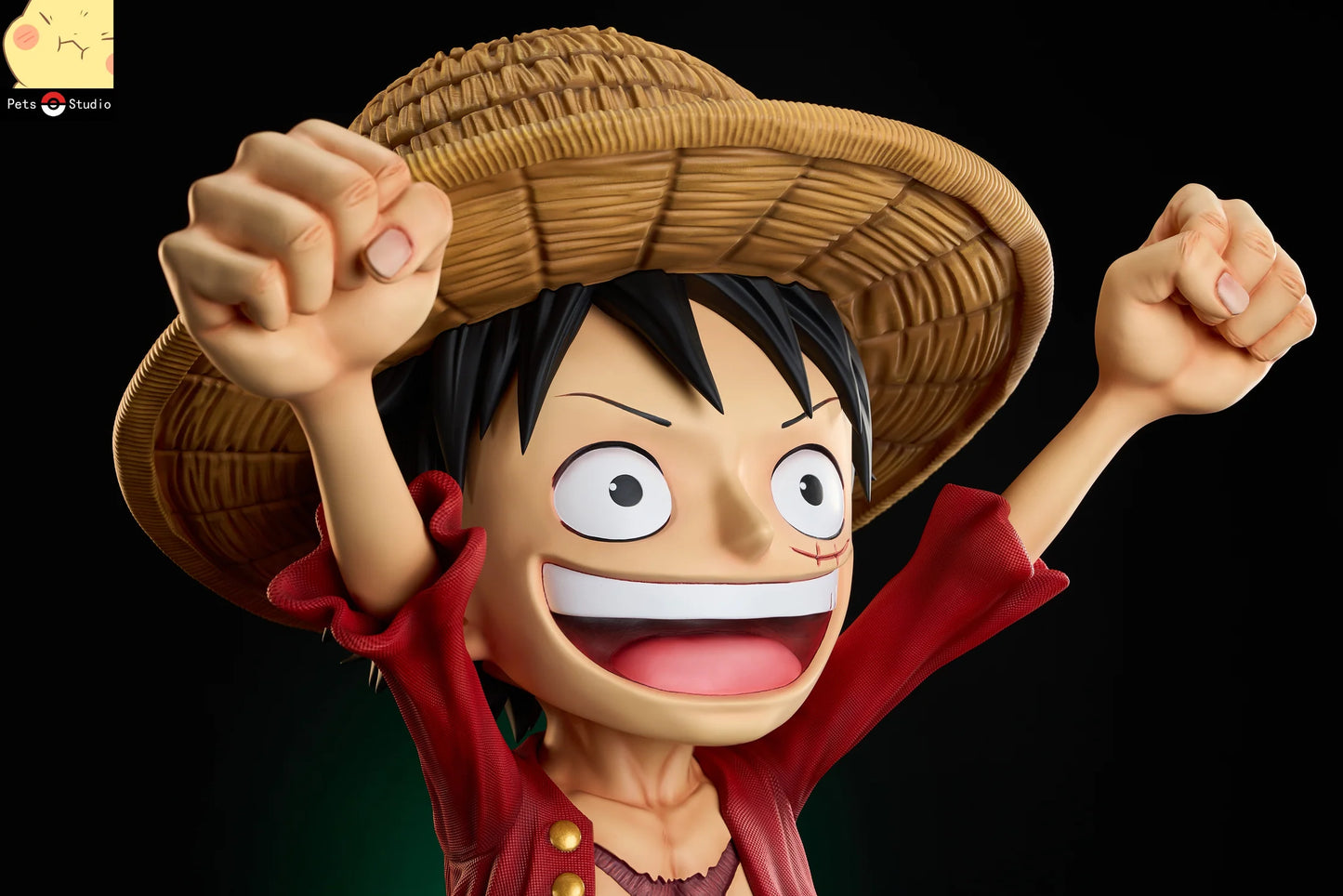 Pets - Luffy