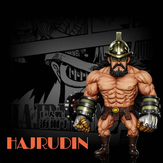 A+ - Hajrudin