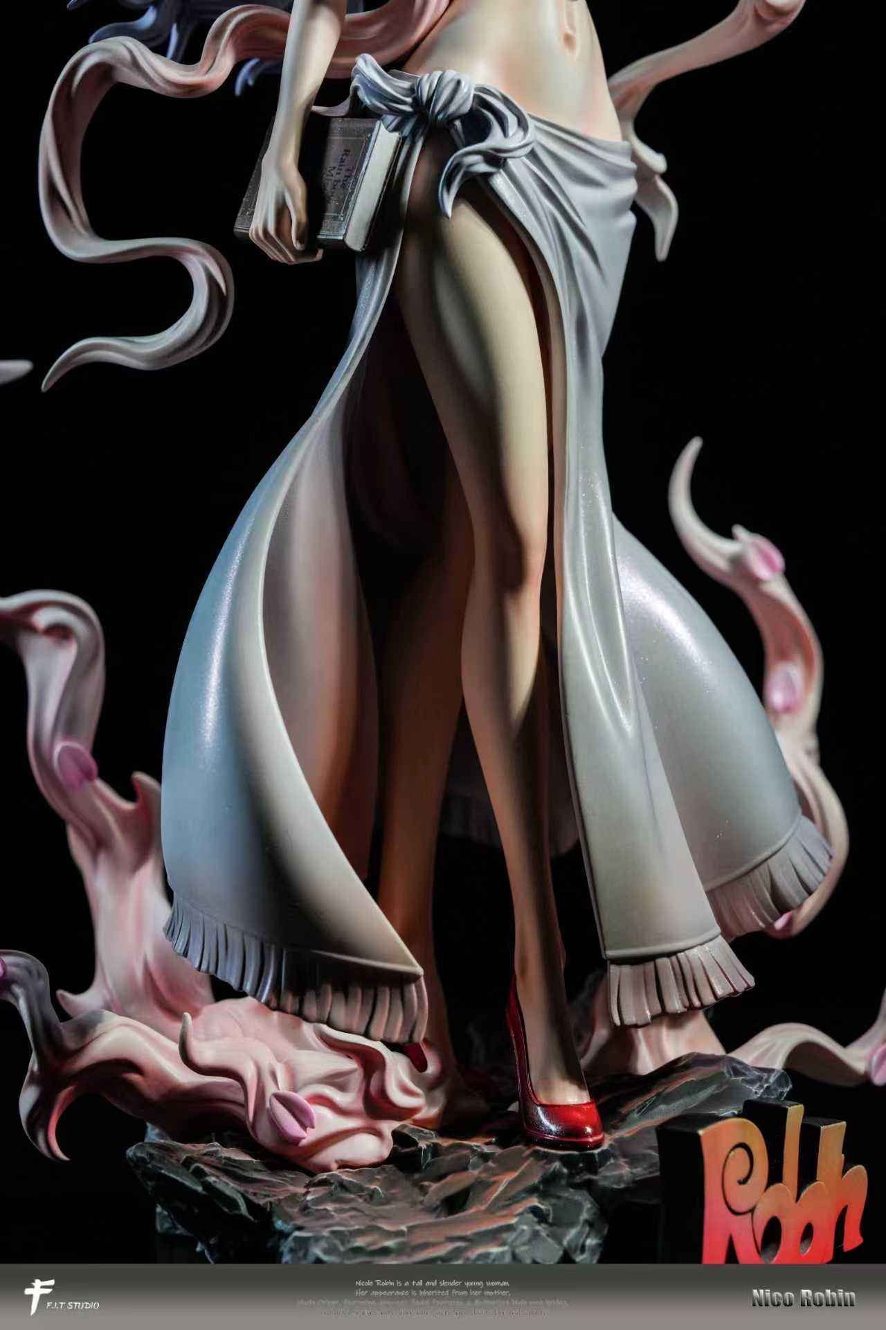 FIT - Nika Nico Robin