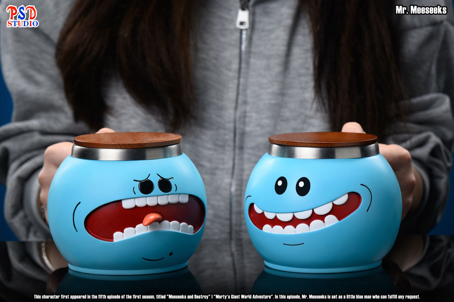 PSD - Mr. Meeseeks