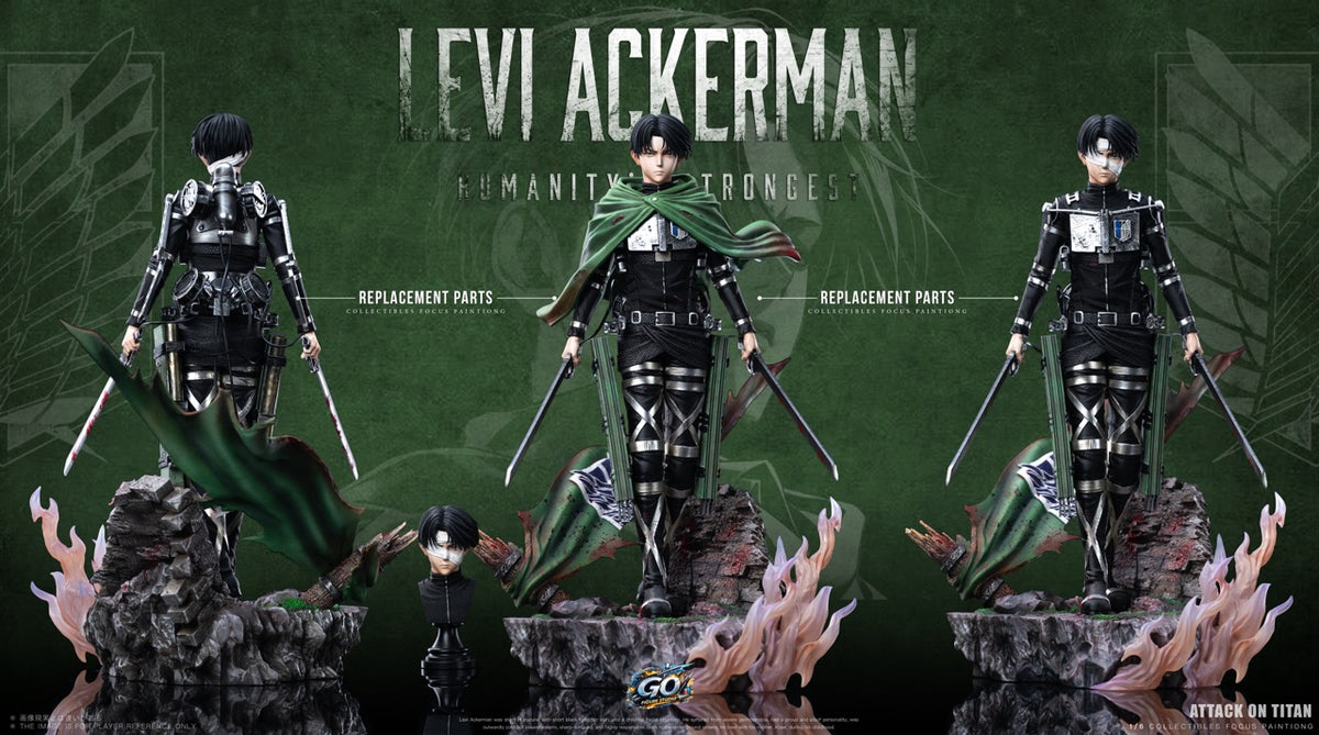 Go Figure - Levi