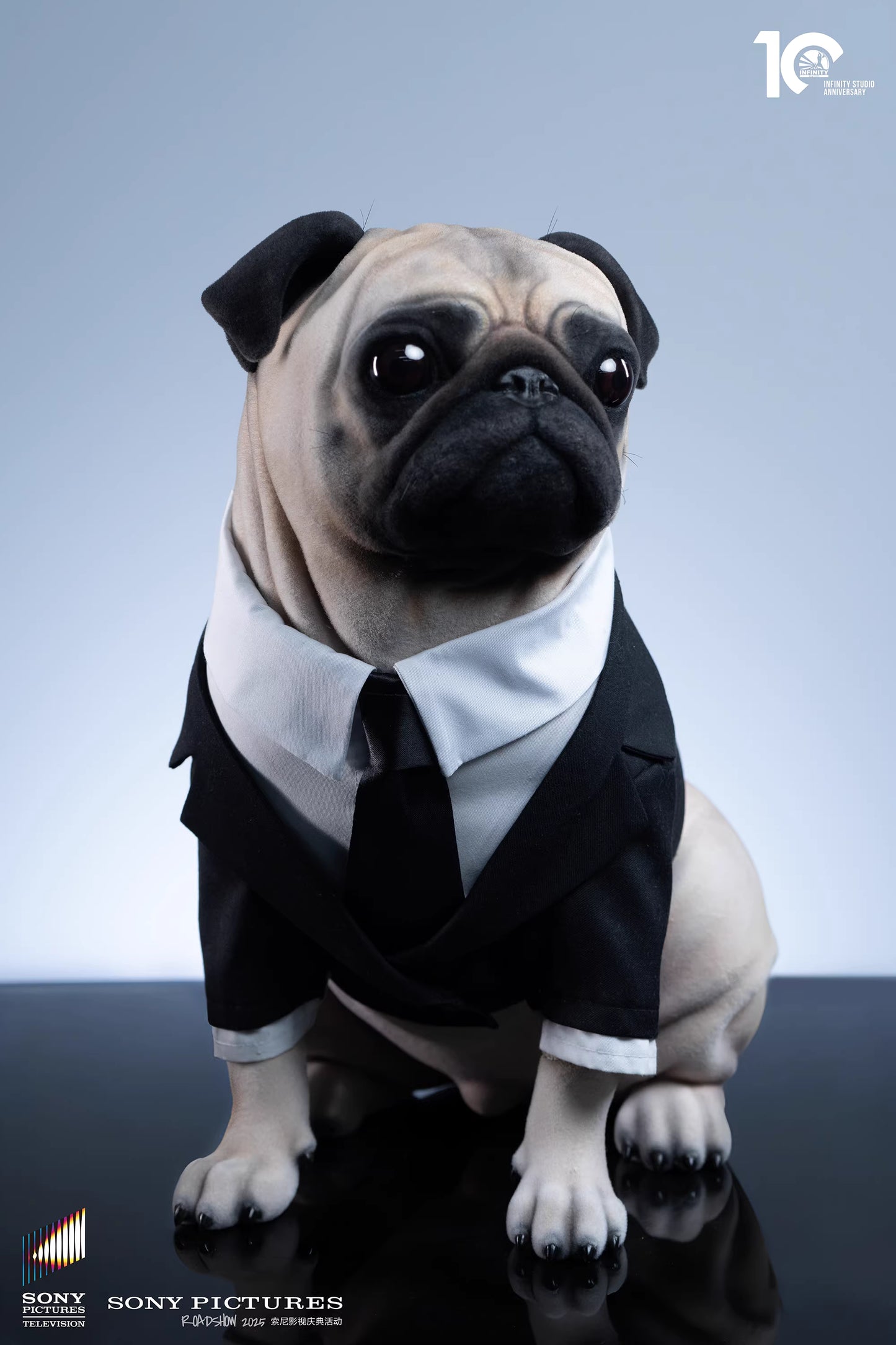 Infinity - Frank the Pug