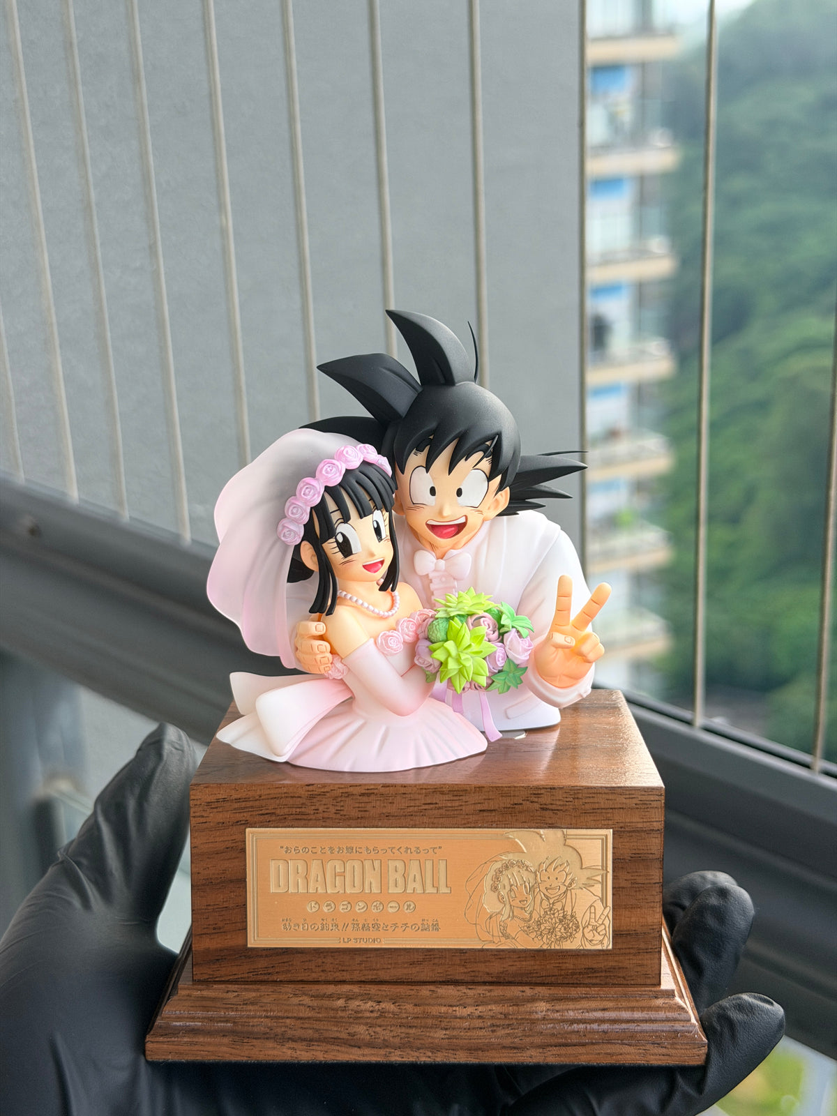 LP - Goku and Chi
