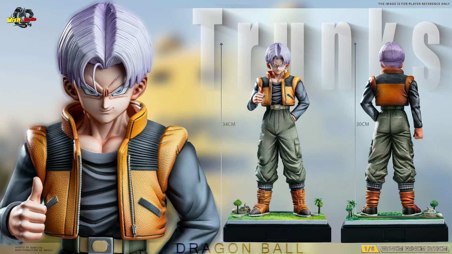 Wish - Trunks