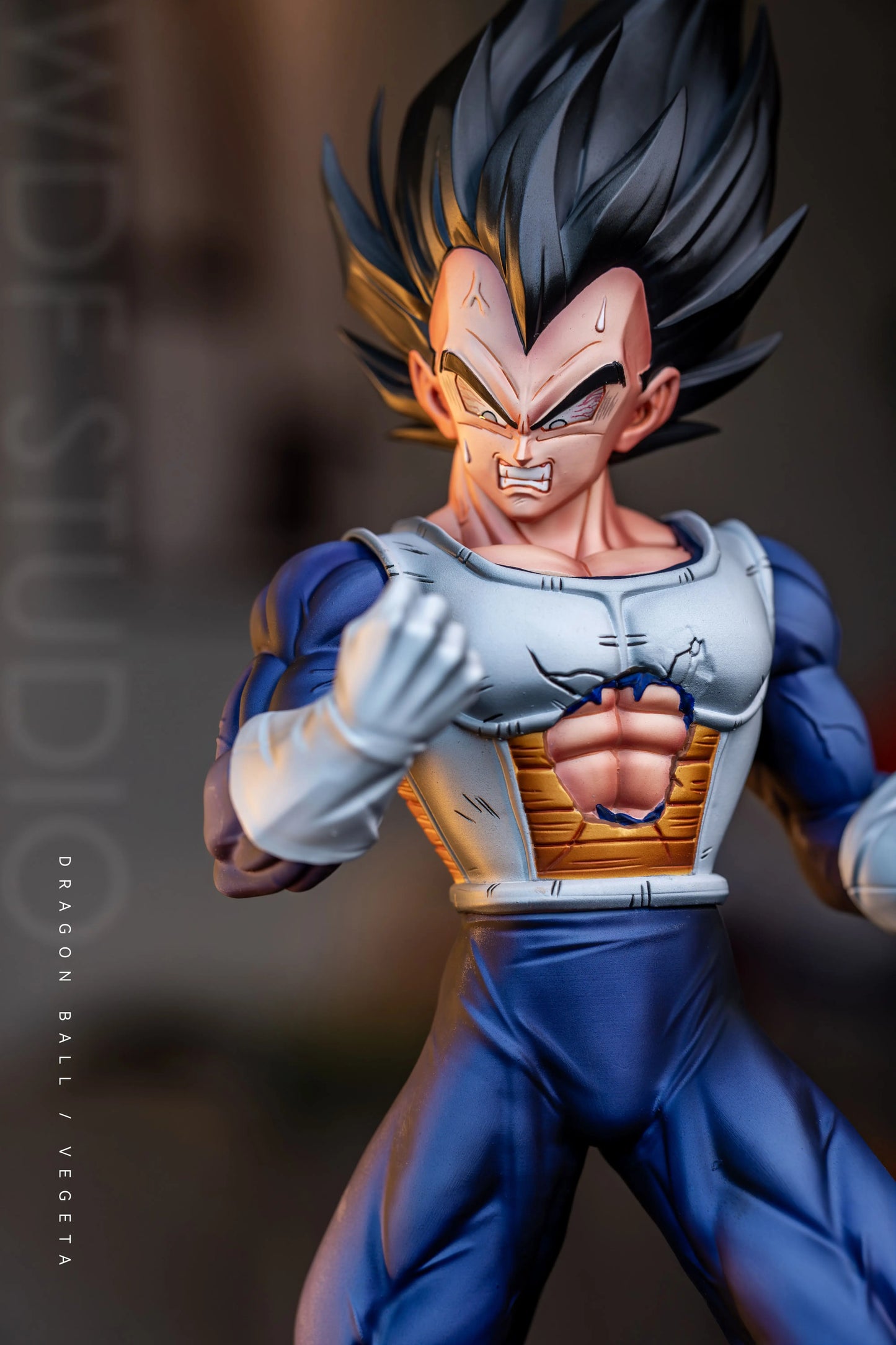 WDF - Vegeta