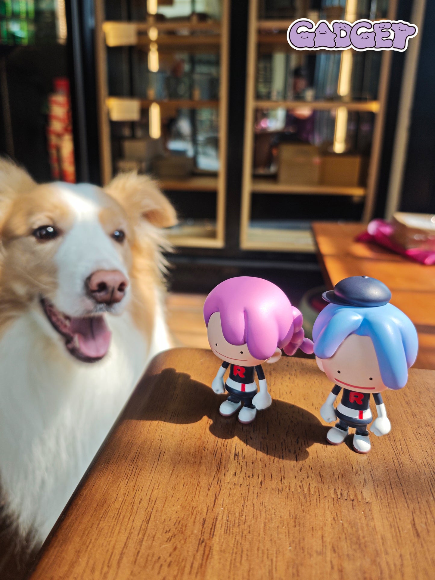 Gadget - Jessie and James