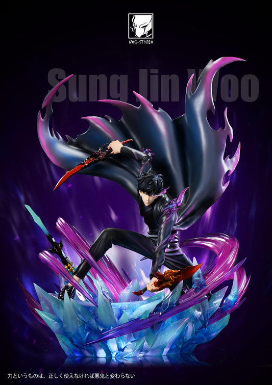 NOC - Sung Jinwoo