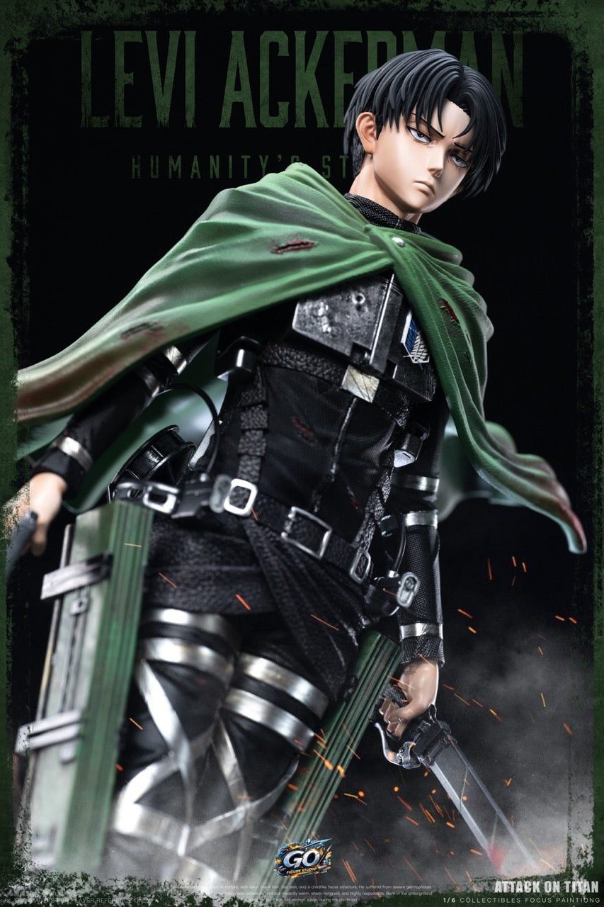 Go Figure - Levi