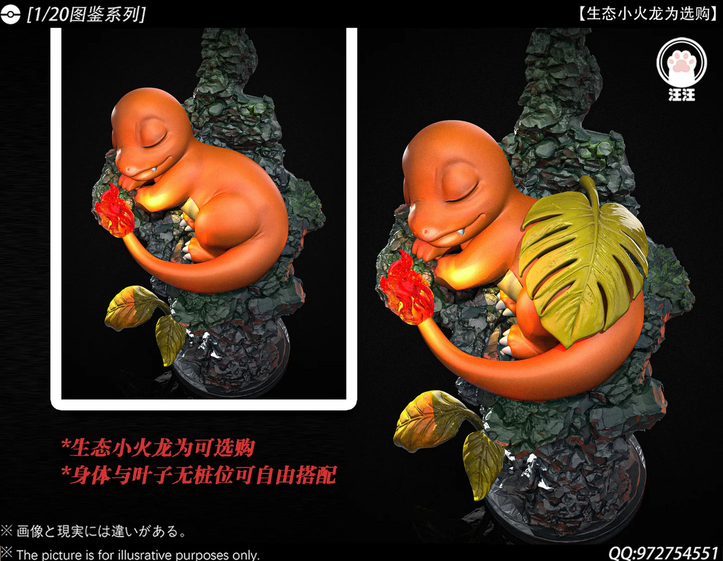 Wang Wang - Charizard