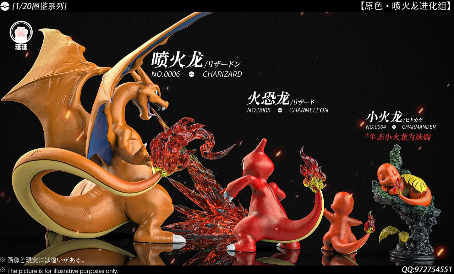 Wang Wang - Charizard