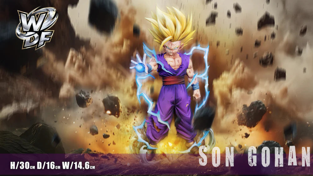 WDF - SSJ Gohan - Dragon Ball