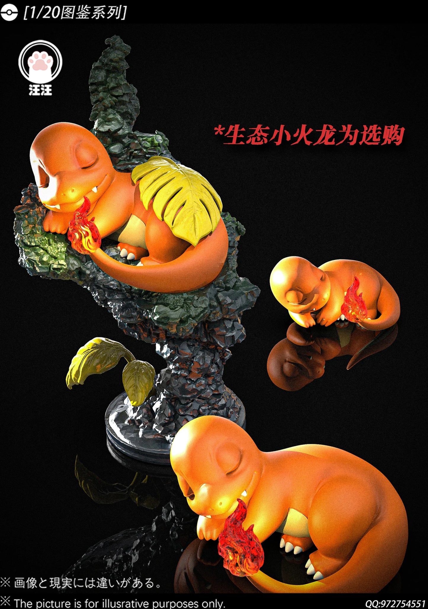Wang Wang - Charizard